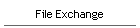 File Exchange